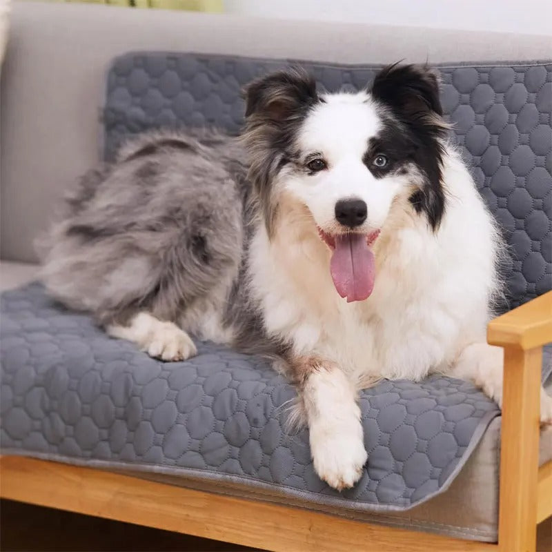Dog Pee Pad Reusable Washable Dog Urine Mat Car Seat Floor Sofa Waterproof Absorbent Puppy Training Diaper Mat
